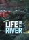 Cover of: Life in a River (Ecoystems in Action)