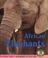 Cover of: African elephants
