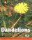 Cover of: Dandelions