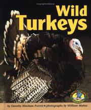Cover of: Wild turkeys by Dorothy Hinshaw Patent
