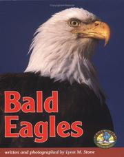 Cover of: Bald Eagles (Early Bird Nature Books) by Lynn M. Stone