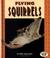Cover of: Flying Squirrels (Pull Ahead Books)