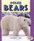 Cover of: Polar Bears (Pull Ahead Books)