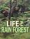 Cover of: Life in a Rain Forest (Ecosystems in Action)