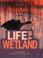 Cover of: Life in a Wetland (Ecosystems in Action)