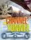 Cover of: The Channel Tunnel (Great Building Feats)