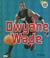 Cover of: Dwyane Wade