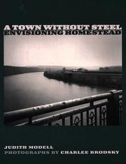 Cover of: A town without steel: envisioning Homestead