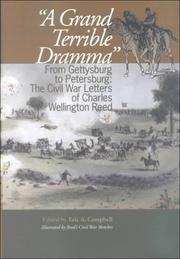 Cover of: A Grand Terrible Dramma: From Gettysburg to Petersburg by Eric Campbell