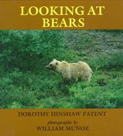 Cover of: Looking at bears by Dorothy Hinshaw Patent