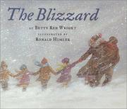 Cover of: The blizzard by Betty Ren Wright