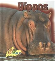 Cover of: Hippos (Giant Animals Series) | Marianne Johnston