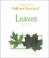 Cover of: Leaves (Nature Books (New York, N.Y.).)