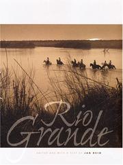 Cover of: Rio Grande by edited and with a text by Jan Reid.