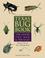 Cover of: Texas Bug Book