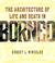 Cover of: The Architecture of Life and Death in Borneo