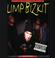 Cover of: The Story of Limp Bizkit