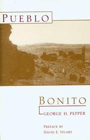 Pueblo Bonito by George H. Pepper