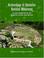 Cover of: Archaeology of Bandelier National Monument