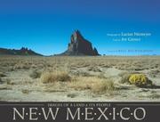 Cover of: New Mexico by Lucian Niemeyer