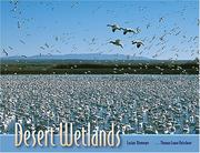 Cover of: Desert Wetlands by Lucian Niemeyer, Thomas Lowe Fleischner