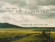 Cover of: Max Evans' Hi Lo Country: under the one-eyed sky