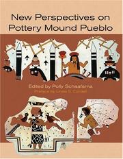 Cover of: New Perspectives on Pottery Mound Pueblo
