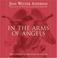 Cover of: In the Arms of Angels