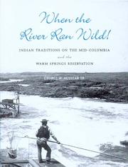 Cover of: When the river ran wild! by George Aguilar