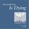 Cover of: My Loved One Is Dying (Looking Up)