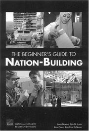Cover of: The Beginner's Guide to Nation-Building by James Dobbins