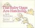 Cover of: The Baby Uggs Are Hatching