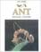 Cover of: Ant