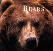 Cover of: Bears: Nature's Window