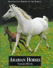Cover of: Arabian horses by Tomáš Míček