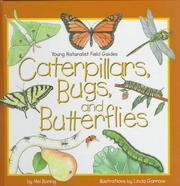 Cover of: Caterpillars, bugs, and butterflies by Mel Boring