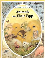 Cover of: Animals and Their Eggs (Animals Up Close)