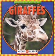 Cover of: Giraffes (Animals I See at the Zoo)