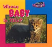 Cover of: Whose Baby Is This? (Name That Animal)