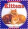 Cover of: Kittens (Let's Read About Pets)