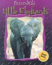 Cover of: Little elephants