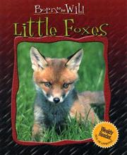 Cover of: Little foxes by Ariane Chottin