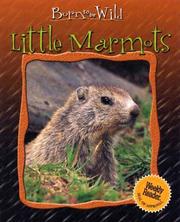 Cover of: Little Marmots