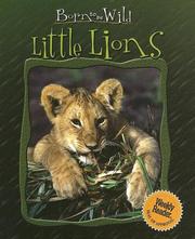 Cover of: Little Lions