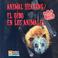 Cover of: Animal Hearing/ El Oido En Los Animales (Animals And Their Senses/Los Sentidos de los Animales)