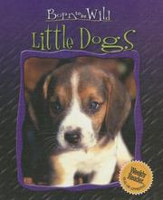 Cover of: Little dogs