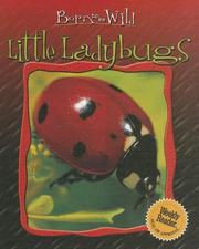 Cover of: Little ladybugs