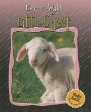 Cover of: Little sheep