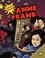 Cover of: Anne Frank (Graphic Biographies (World Almanac) (Graphic Novels))