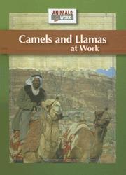 Cover of: Camels and llamas at work by Julia Barnes